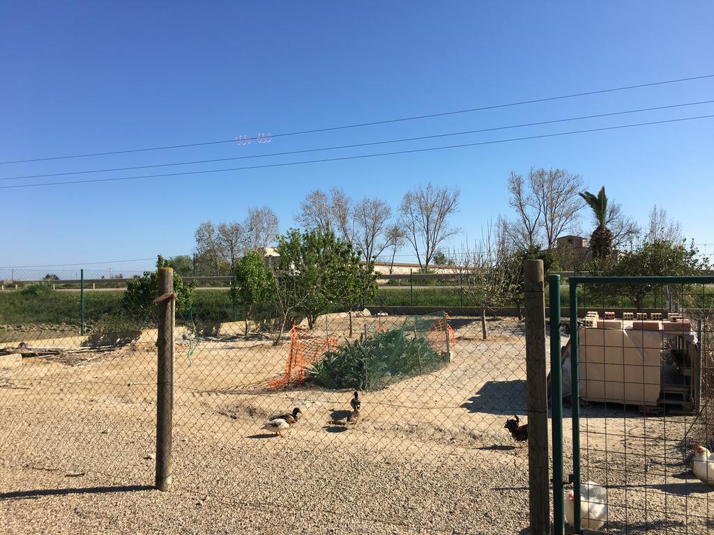 Caseta Les Creus Riumar Dış mekan fotoğraf
